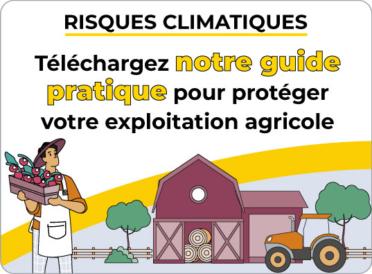 Découvrir notre guide pratique pour protéger votre exploitation agricole - Abeille Assurances